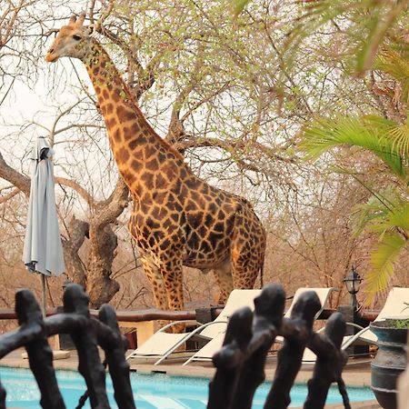 African Rock Lodge フッドスプルイト エクステリア 写真