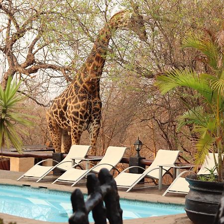 African Rock Lodge フッドスプルイト エクステリア 写真